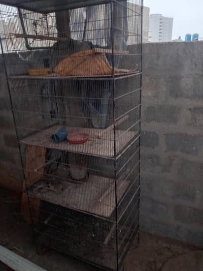 cage for birds