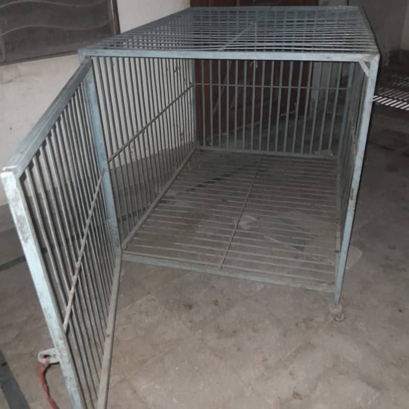 Cages 5