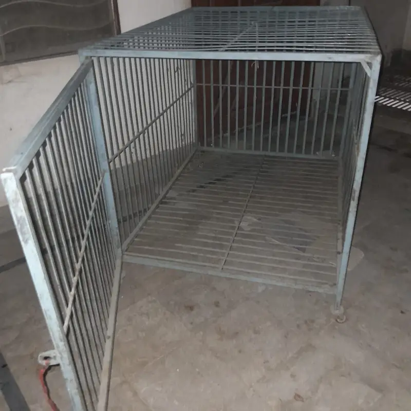Cages — photo 6