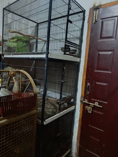 Cage for conure