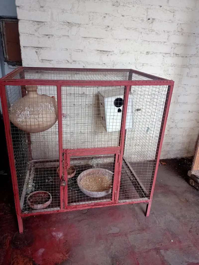 parrot Cage