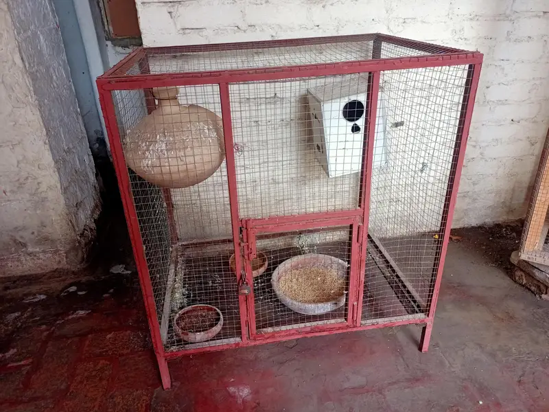 parrot Cage — photo 2