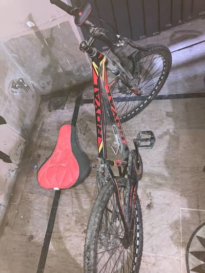 Made in America Sports cycle