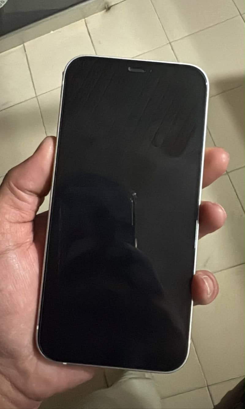 Apple iPhone 12 1