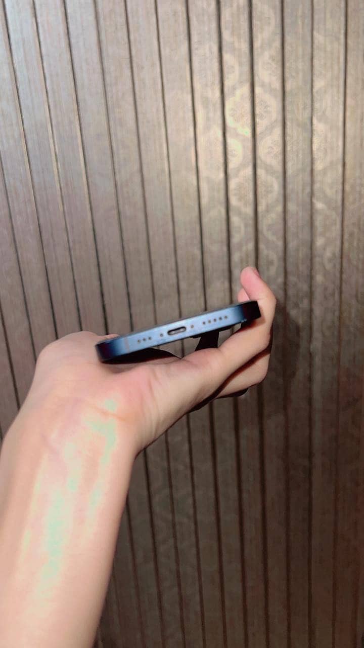 Apple iPhone 13 0