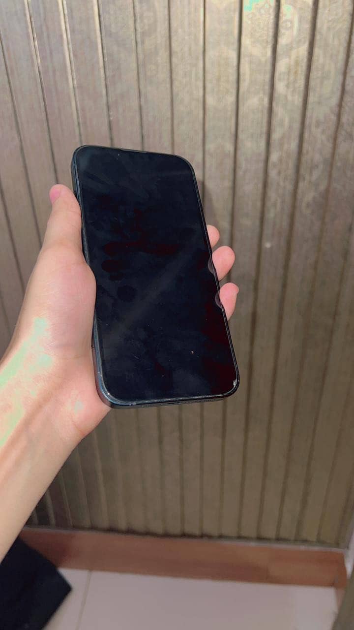 Apple iPhone 13 1