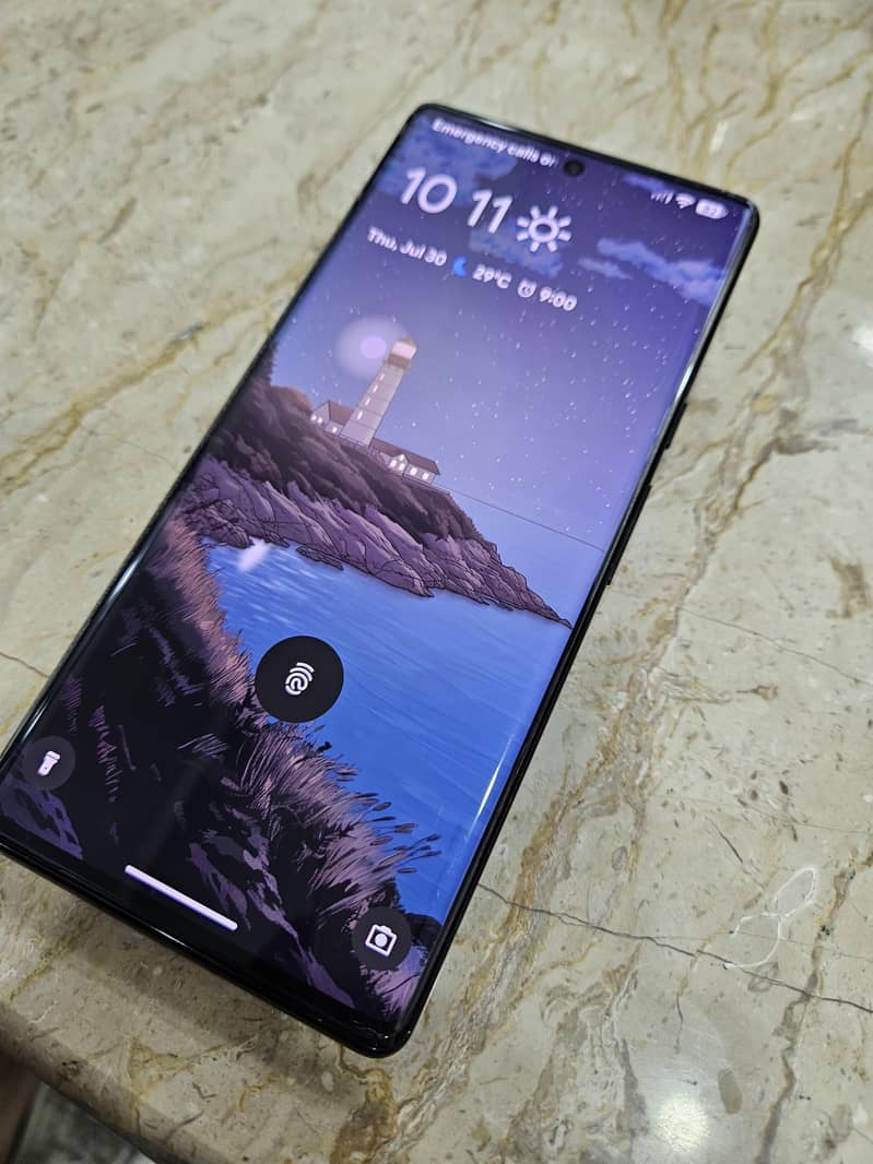Google Pixel 6 Pro 1