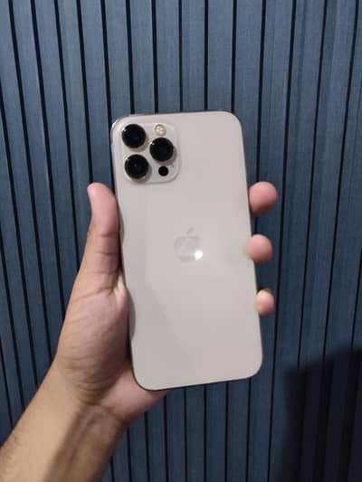 Apple iPhone 12 Pro Max