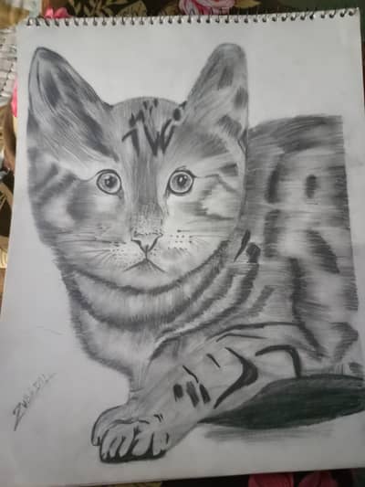 realstic sketch