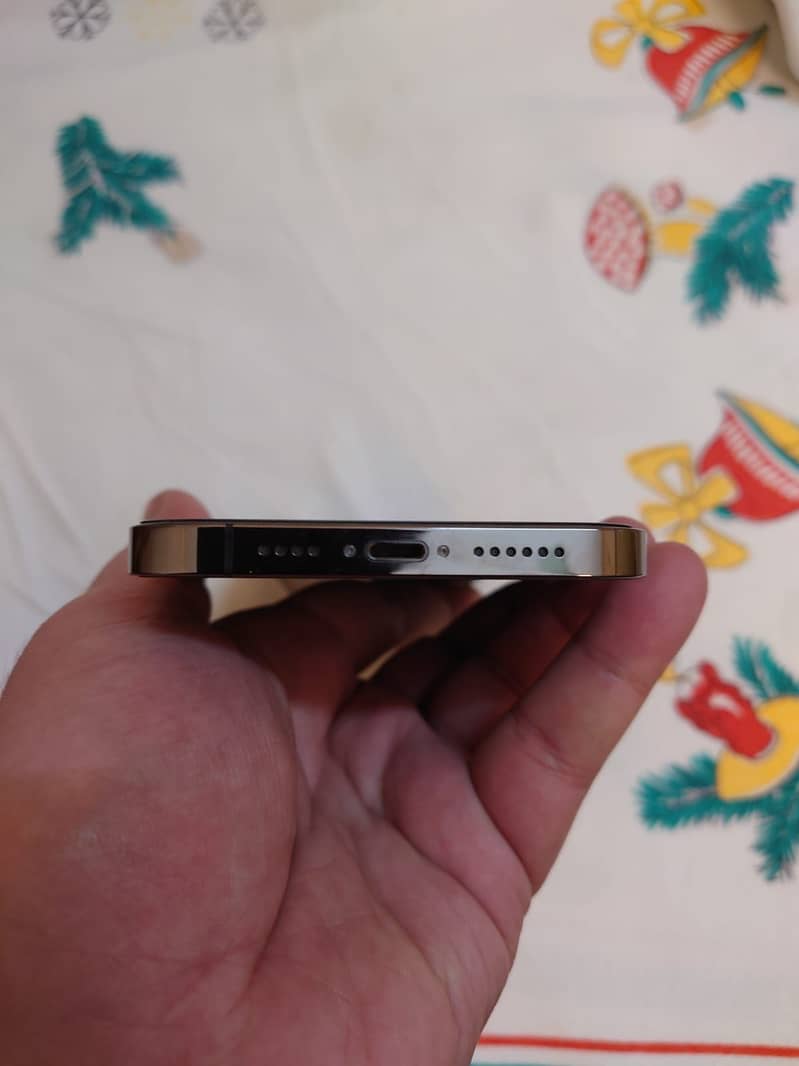 IPhone 12Pro Max 1