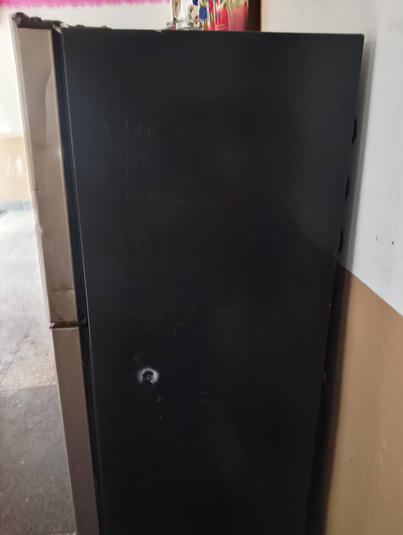 Waves Refrigerator 3