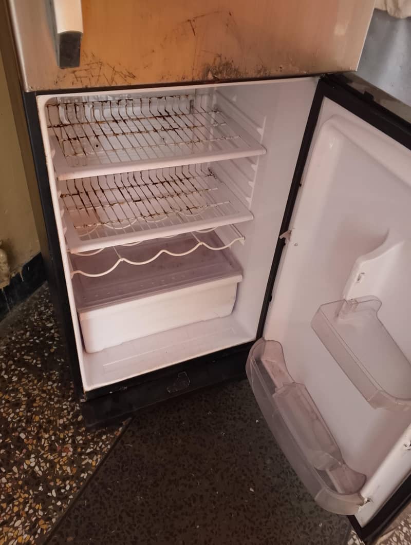 Waves Refrigerator 5