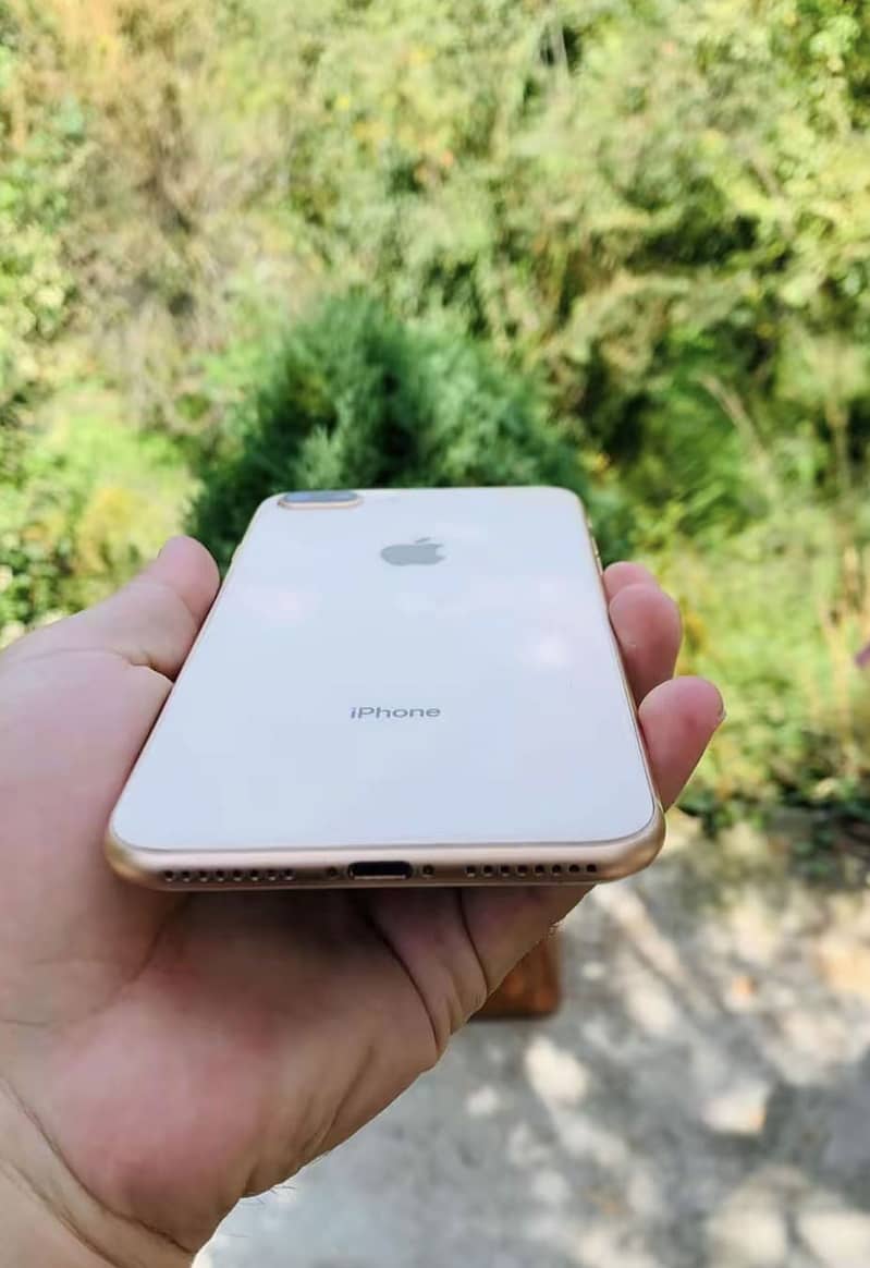 Apple iPhone 8 Plus 1