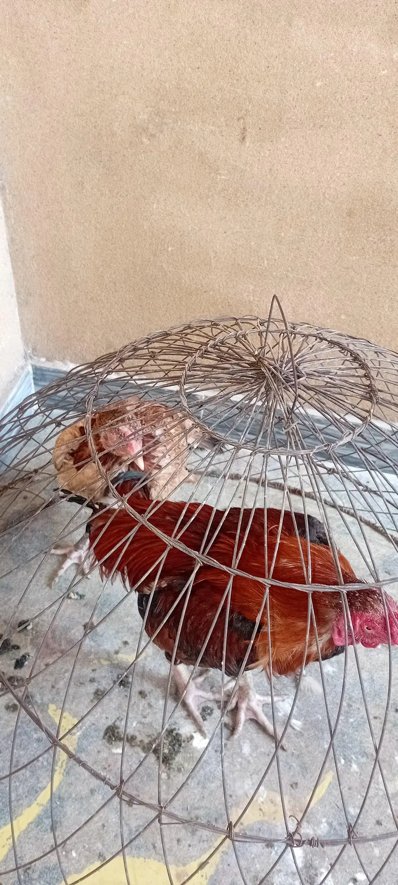 Mianwali — photo 2