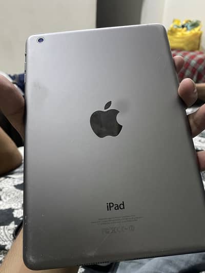 Apple iPad