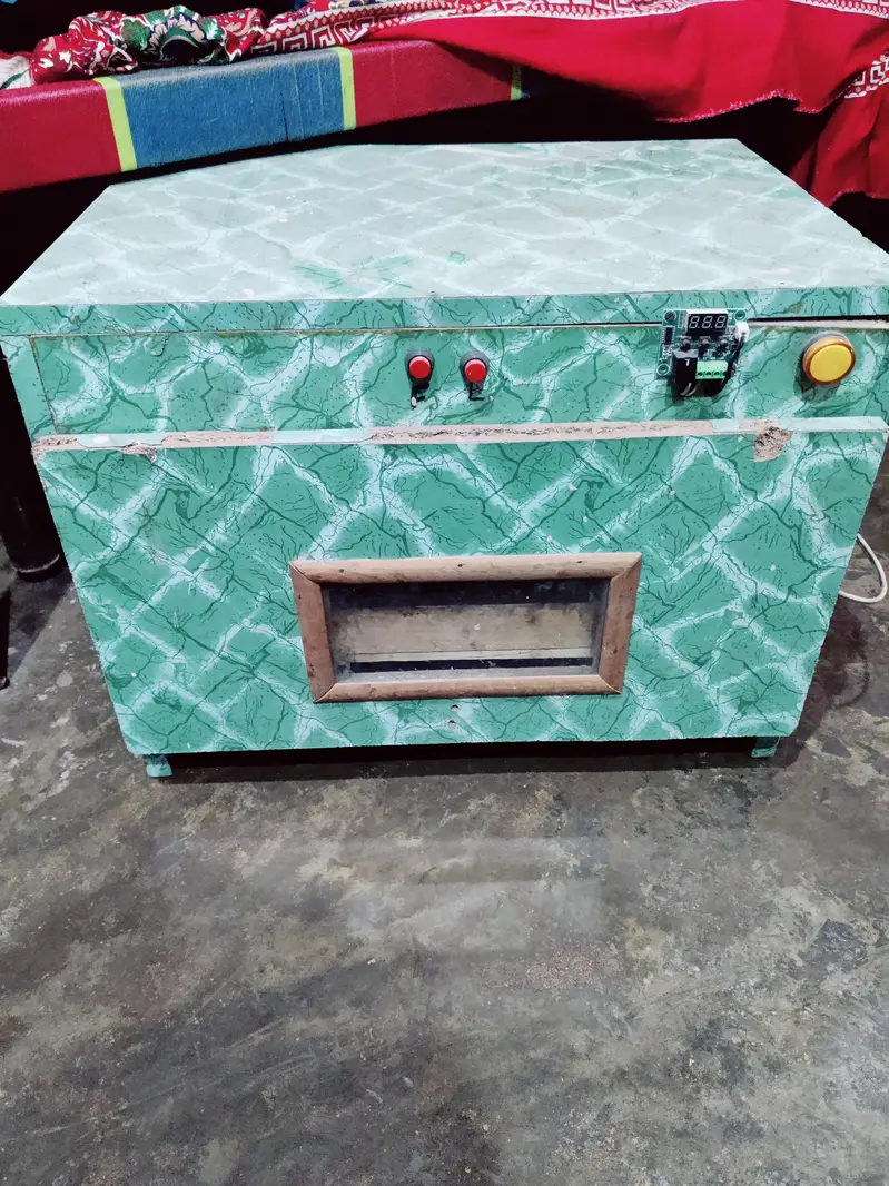 eggs incubation auto — photo 2