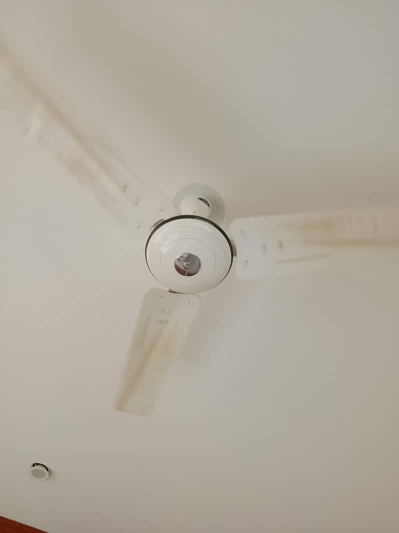 pak fan 0
