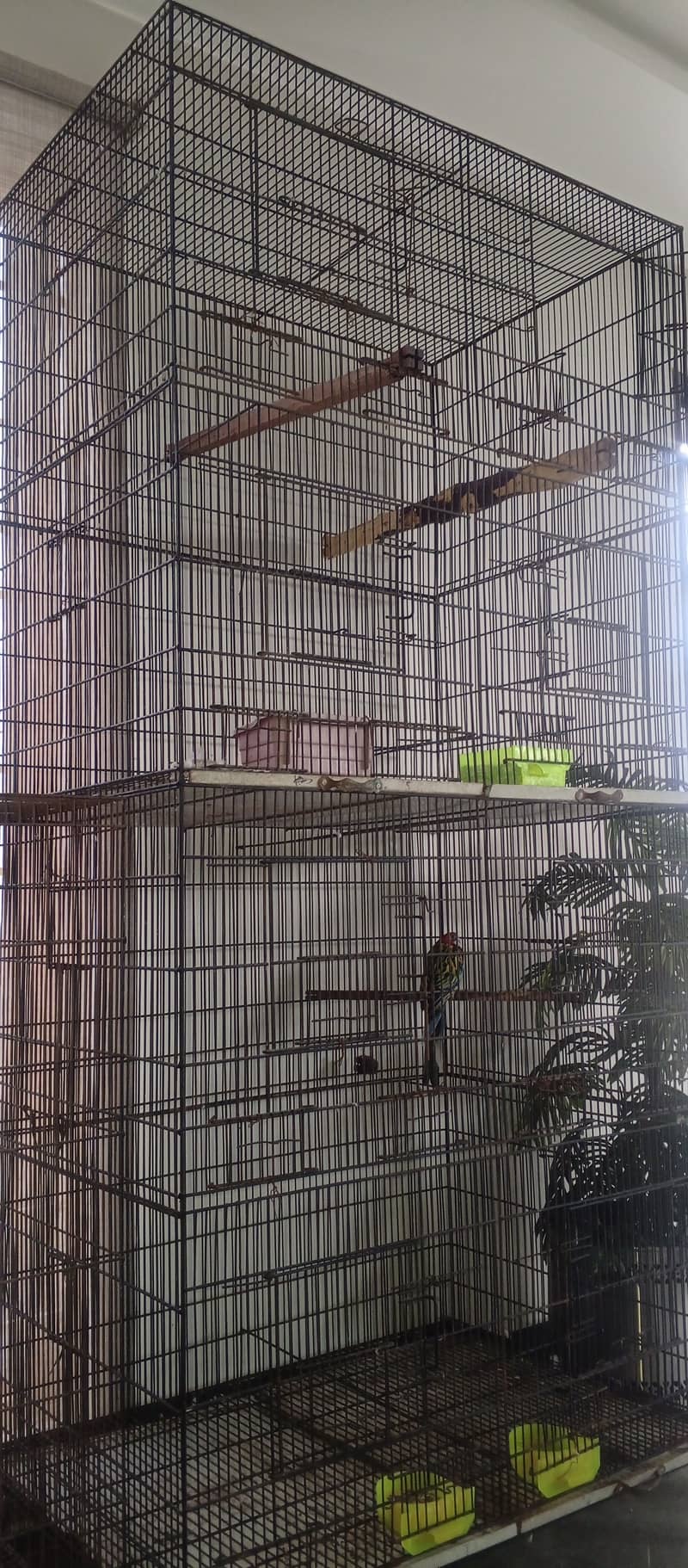 Cages 0