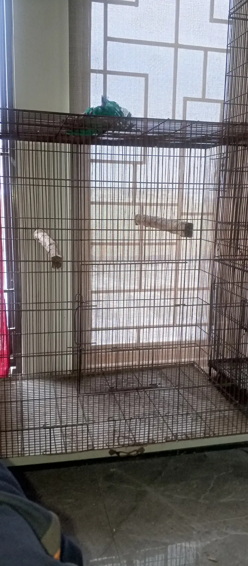 Cages — photo 2