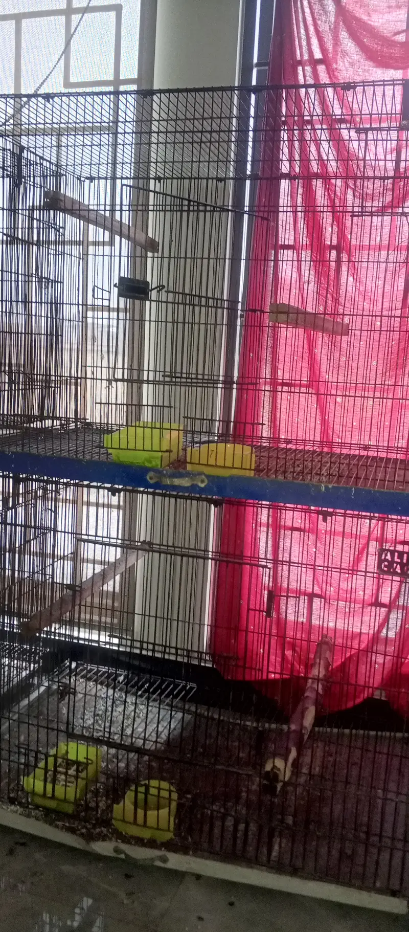 Cages — photo 3