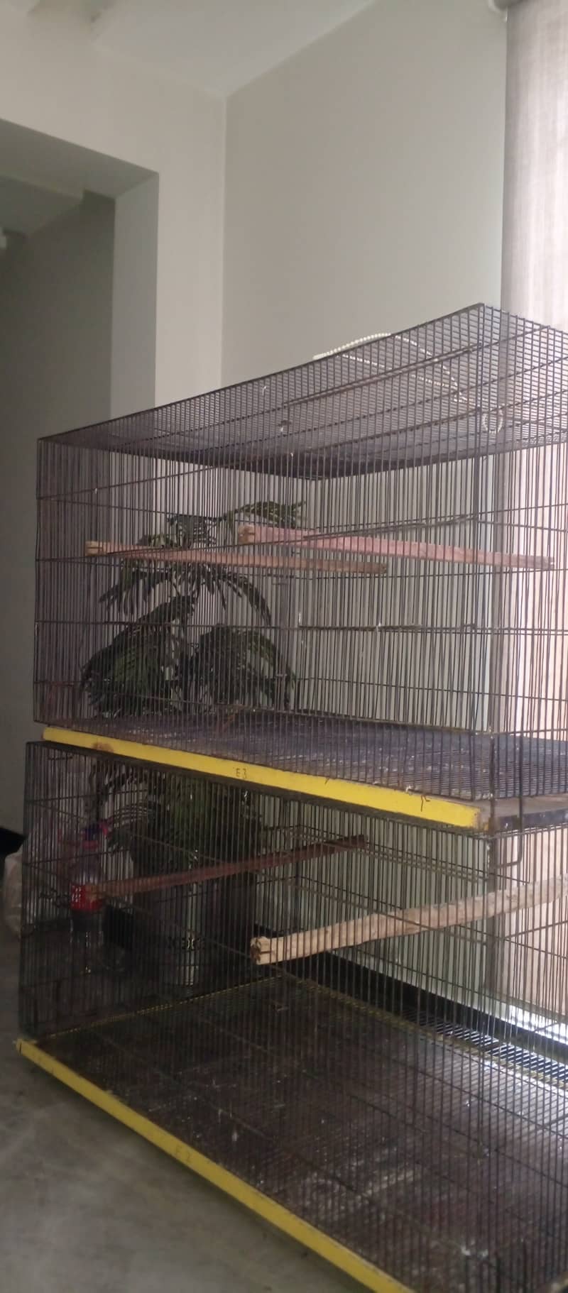 Cages 3
