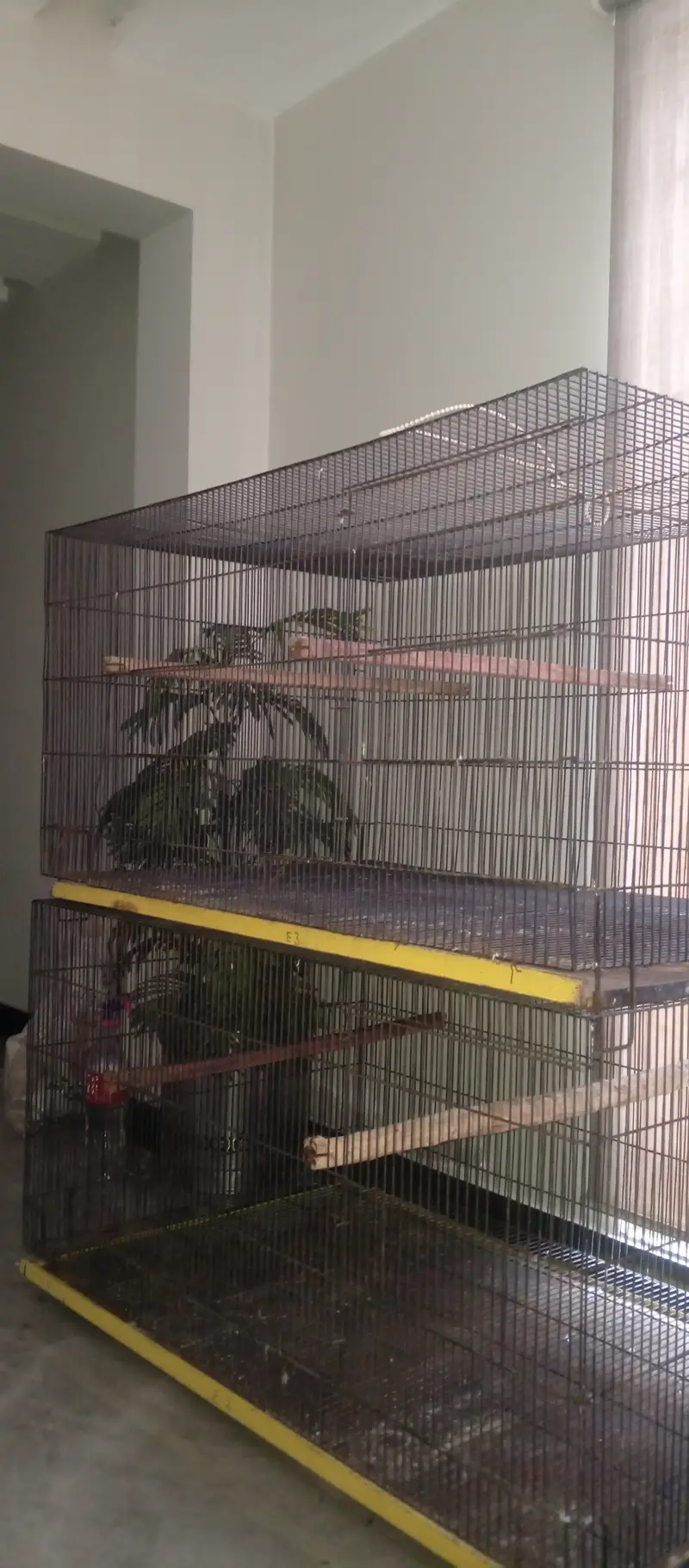 Cages — photo 4