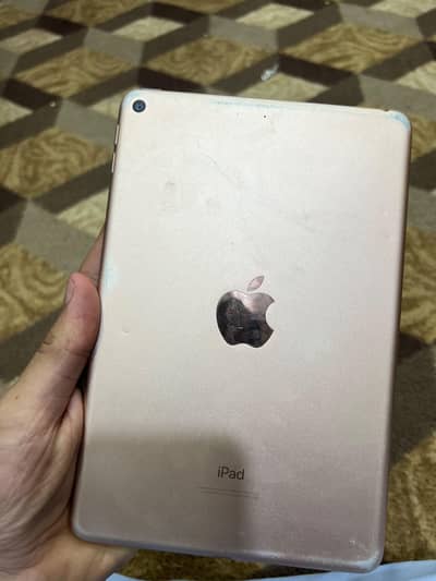 ipad mini 5 home button not working 64 GB