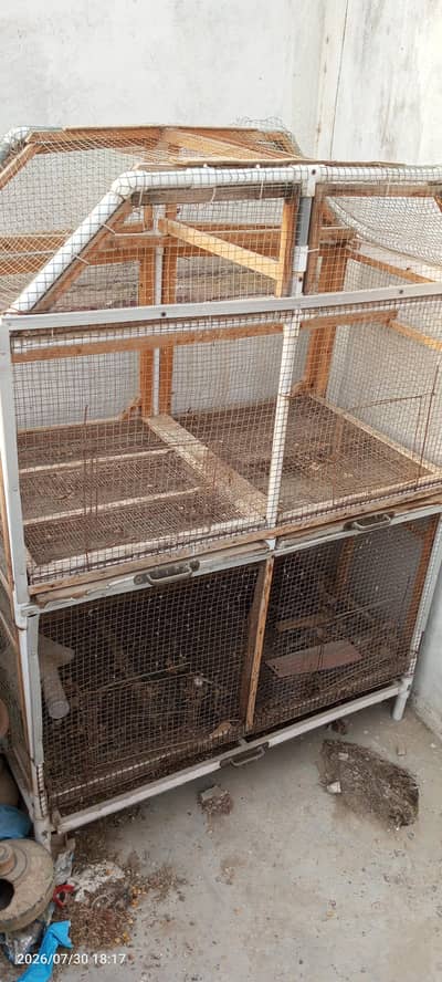 budgies breeder setup