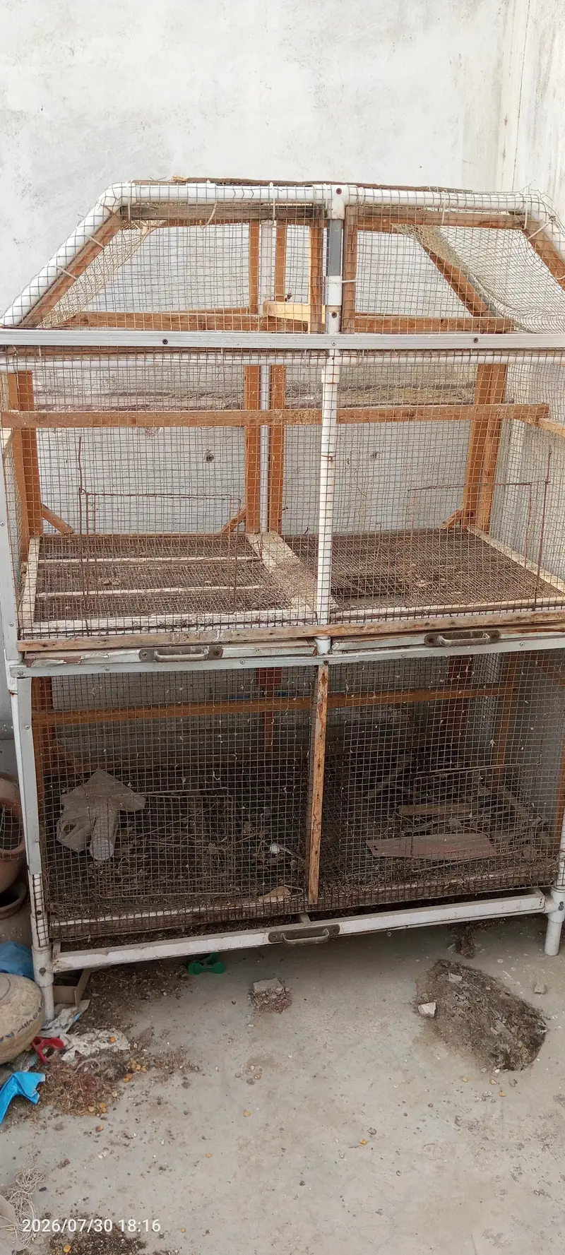budgies breeder setup — photo 2