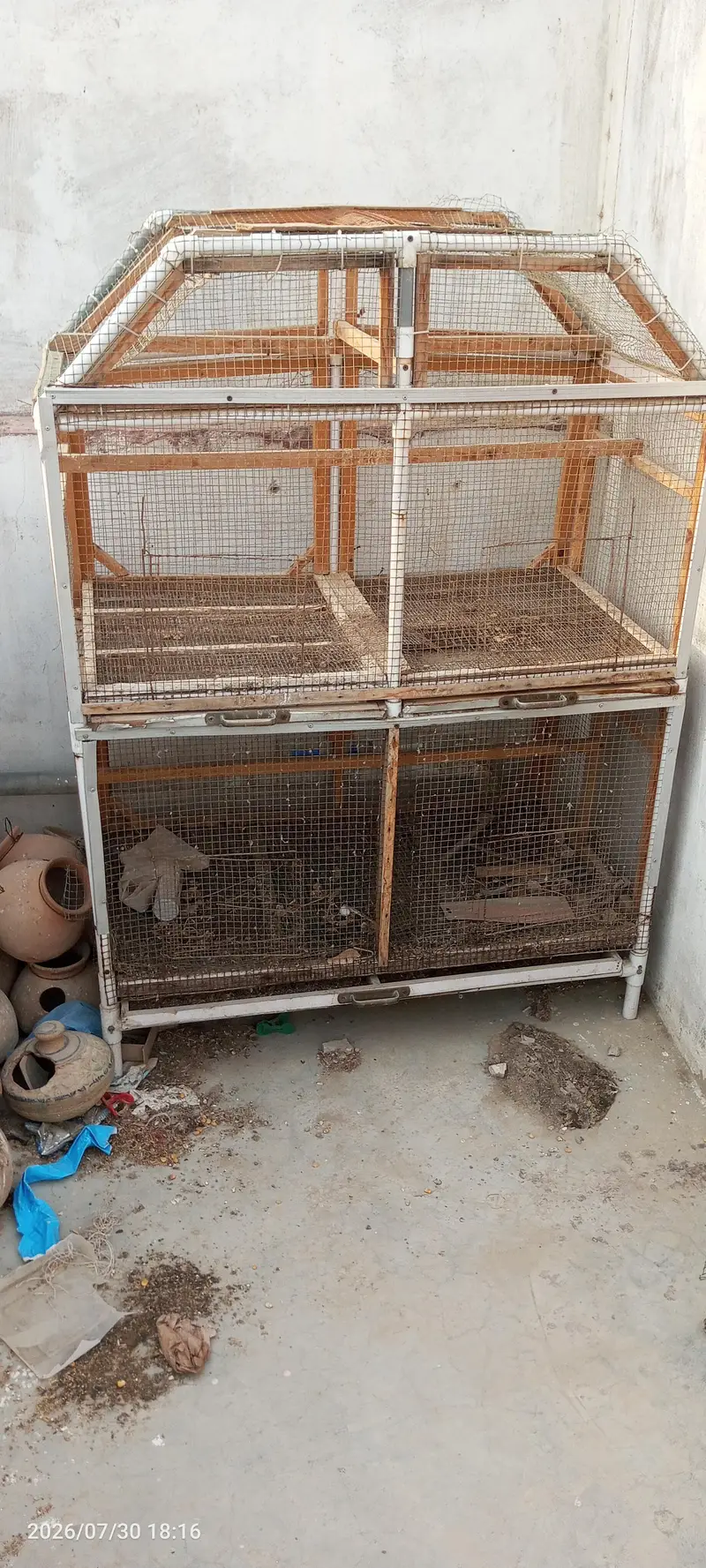 budgies breeder setup — photo 3