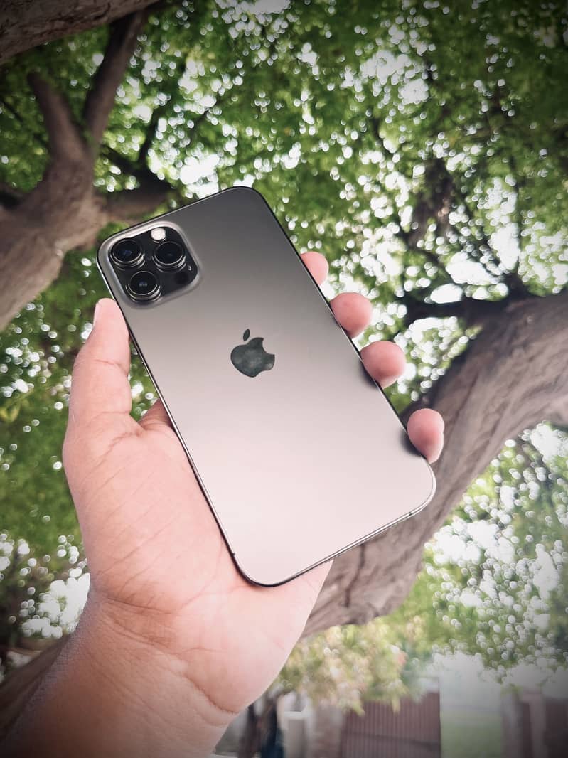 Apple iPhone 12 Pro Max 1