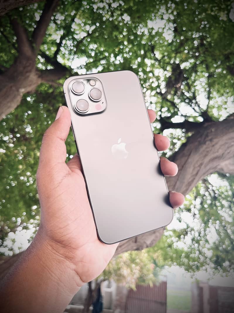 Apple iPhone 12 Pro Max 2