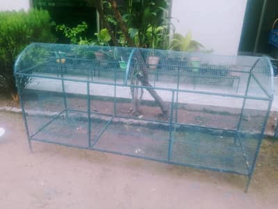 Cage for Sale in Islamabad