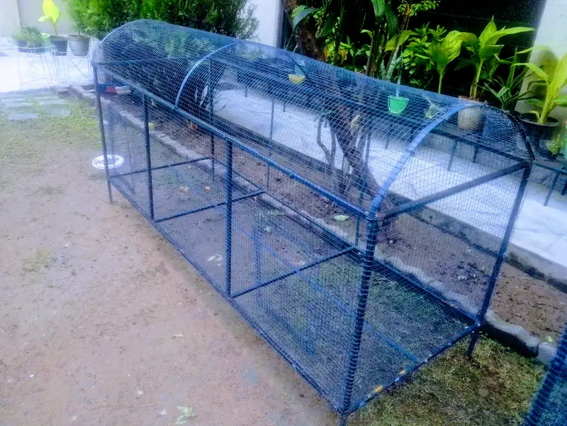 Cage for Sale in Islamabad — photo 2
