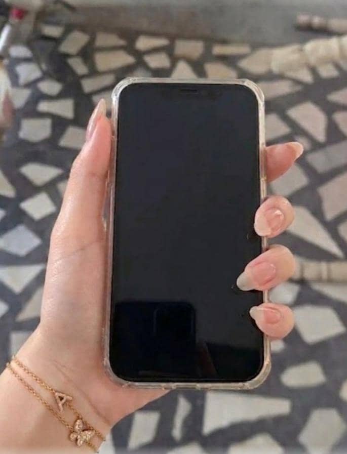 Apple iPhone 11 0