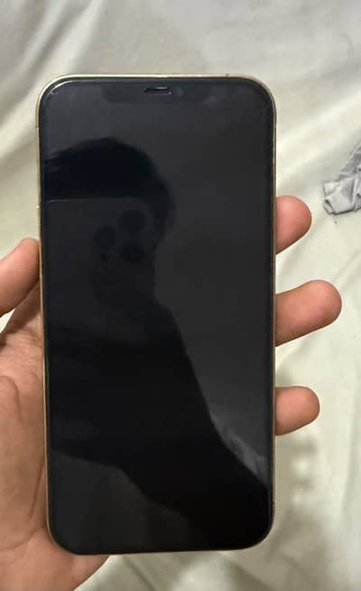 Apple iPhone 12 Pro Max