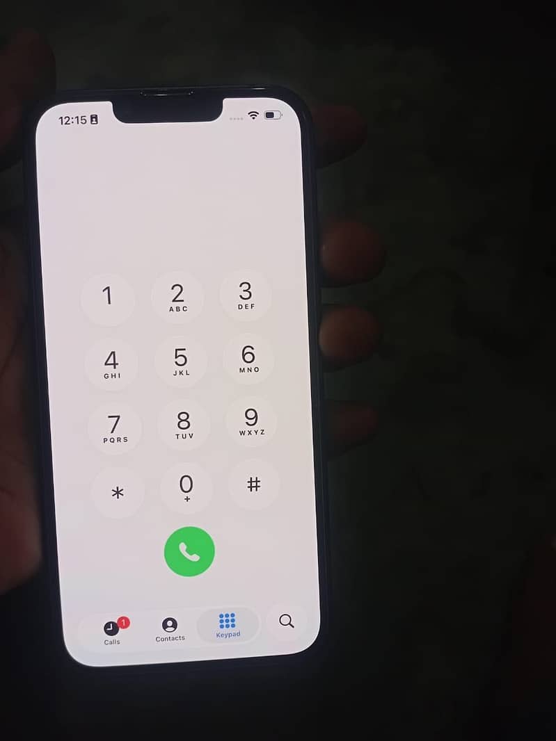 Apple iPhone 13 0