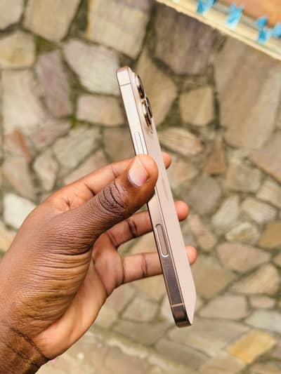 Apple iPhone 16 Pro Max PTA Approved