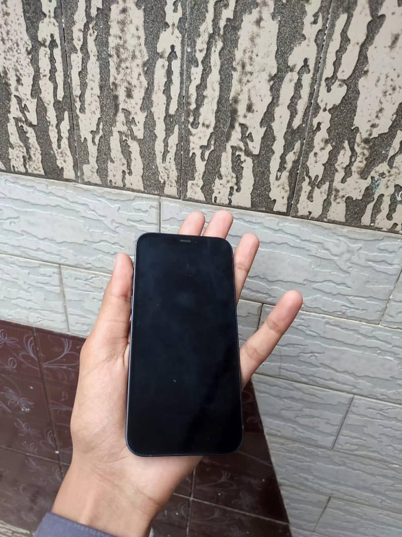 Apple iPhone 12 1