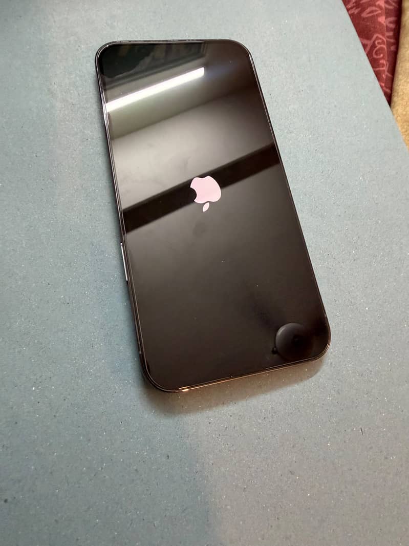 Apple iPhone 13 Pro Max 6