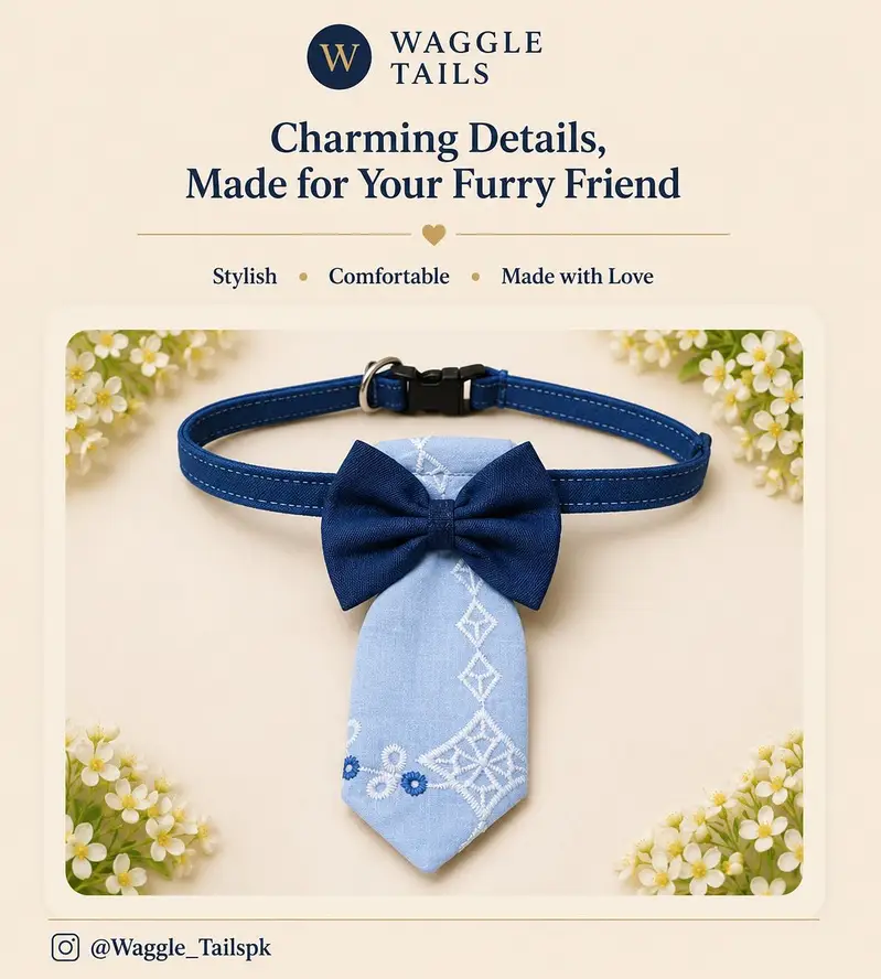 Handmade Premium Collars For Cats