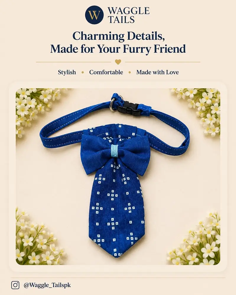 Handmade Premium Collars For Cats — photo 3