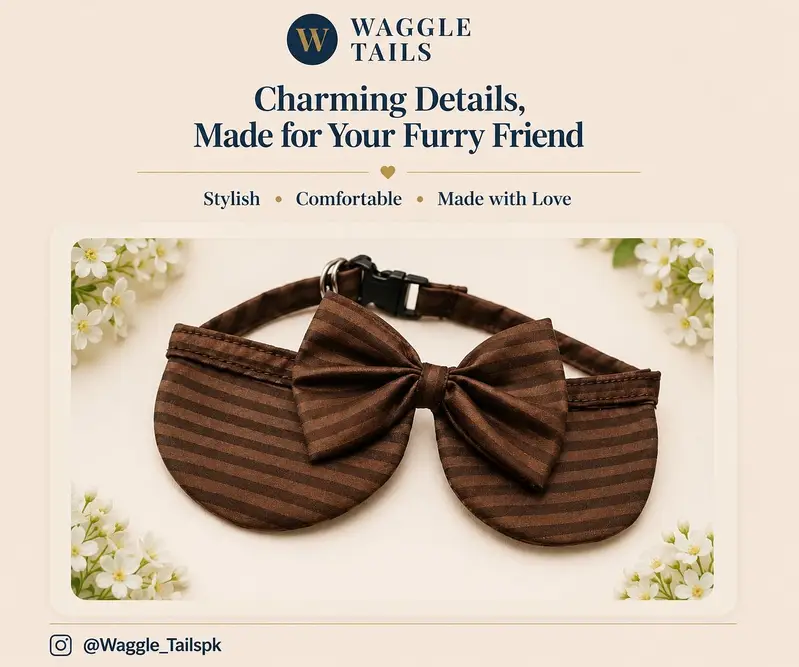 Handmade Premium Collars For Cats — photo 9