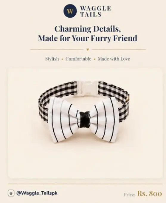 Handmade Premium Collars For Cats — photo 10