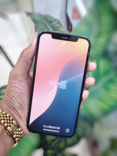 Apple iPhone 12 Pro
