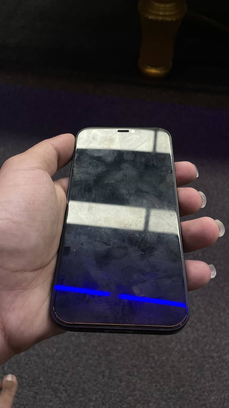 Apple iPhone 12 2