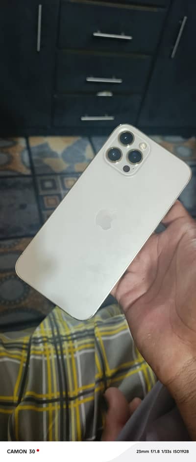 Apple iPhone 12 Pro Max