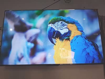 TCL 50 Inch Model Number 50S59K Google QLED