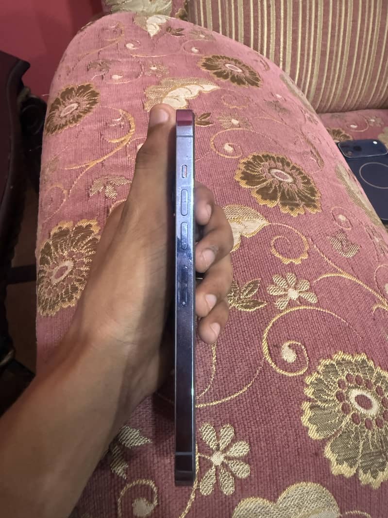 Apple iPhone 13 Pro Max 1