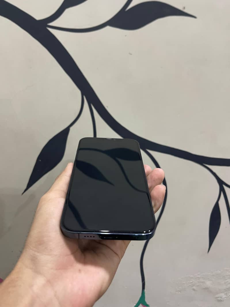 Apple iPhone 12 Pro Max 1